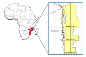 광구명 : 모잠비크 Area 4