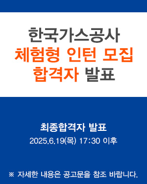 2025년 체험형 인턴 채용 공고