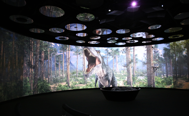 Circle Vision Screen